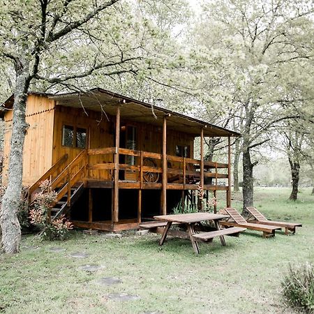 Saint-Paul-en-Born Le Ranch Amadeus Bed & Breakfast エクステリア 写真