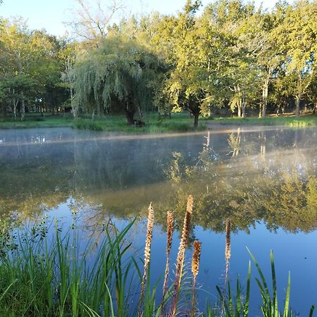Saint-Paul-en-Born Le Ranch Amadeus Bed & Breakfast エクステリア 写真