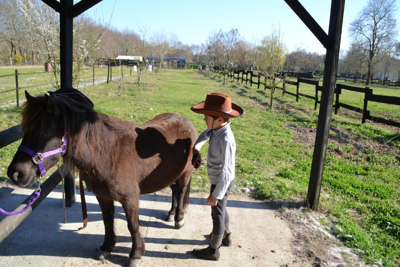 Saint-Paul-en-Born Le Ranch Amadeus Bed & Breakfast エクステリア 写真