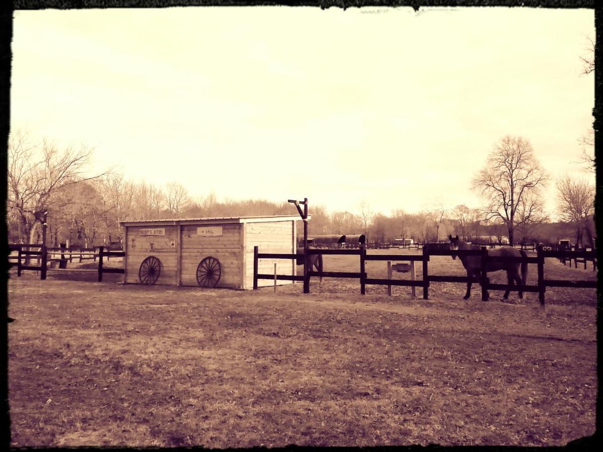 Saint-Paul-en-Born Le Ranch Amadeus Bed & Breakfast エクステリア 写真