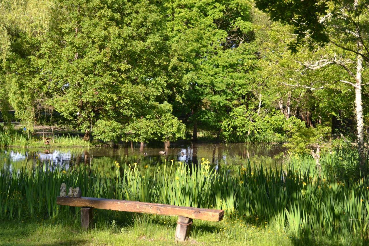 Saint-Paul-en-Born Le Ranch Amadeus Bed & Breakfast エクステリア 写真