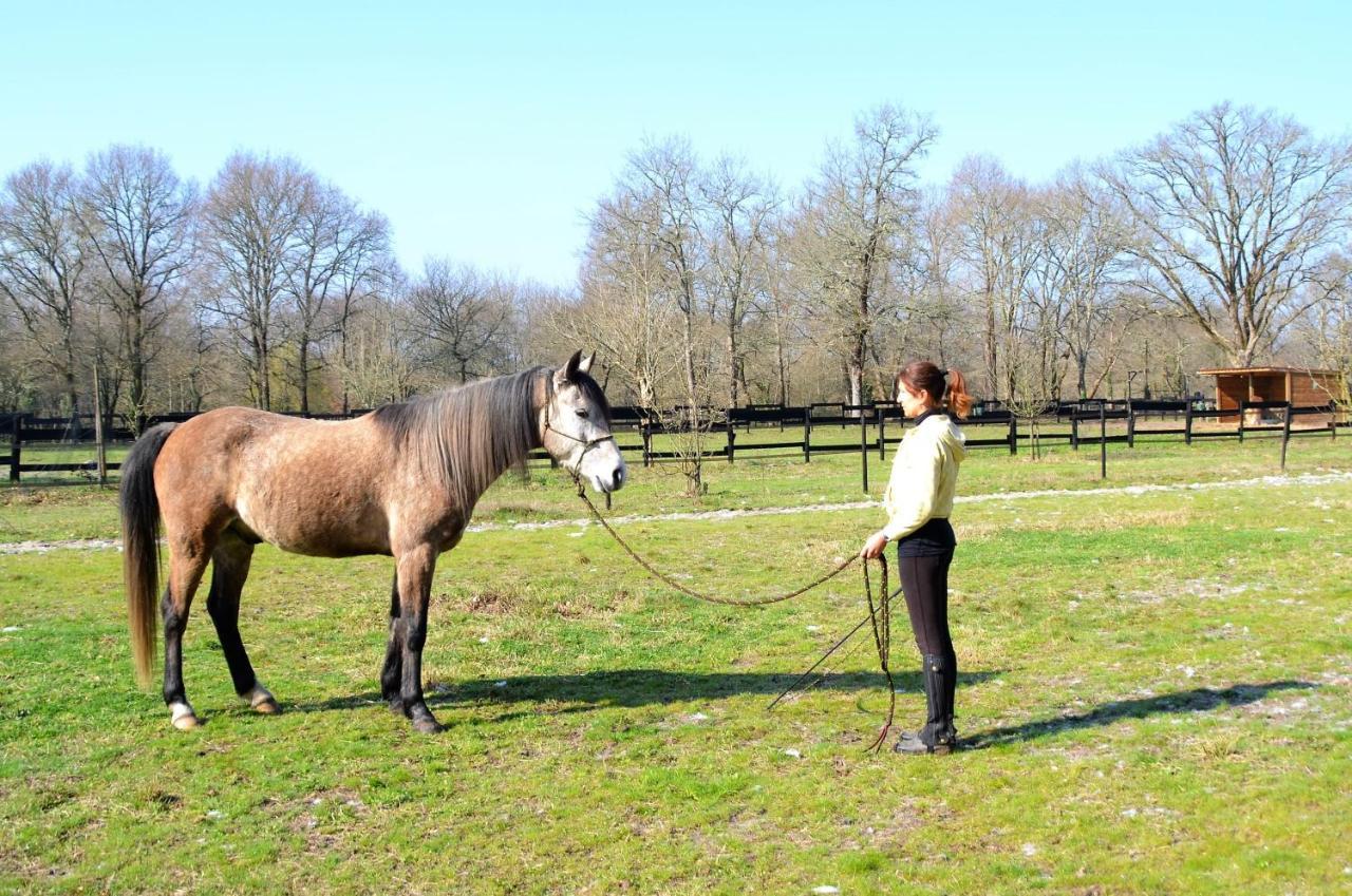 Saint-Paul-en-Born Le Ranch Amadeus Bed & Breakfast エクステリア 写真