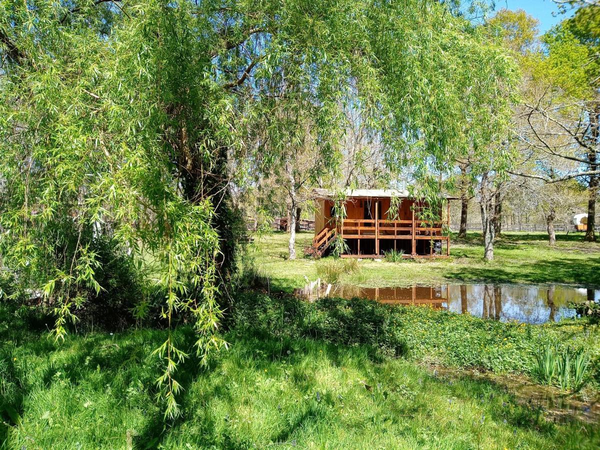 Saint-Paul-en-Born Le Ranch Amadeus Bed & Breakfast エクステリア 写真