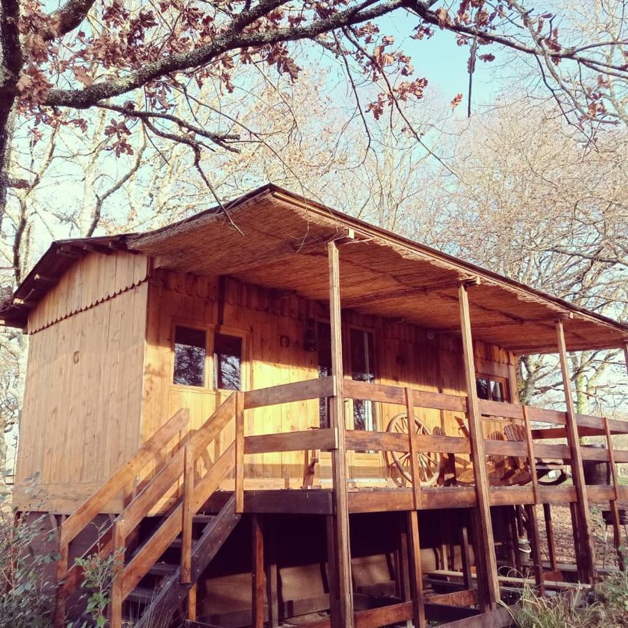 Saint-Paul-en-Born Le Ranch Amadeus Bed & Breakfast エクステリア 写真