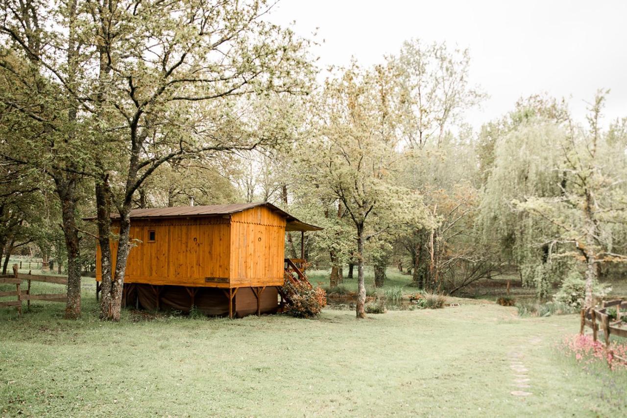 Saint-Paul-en-Born Le Ranch Amadeus Bed & Breakfast エクステリア 写真