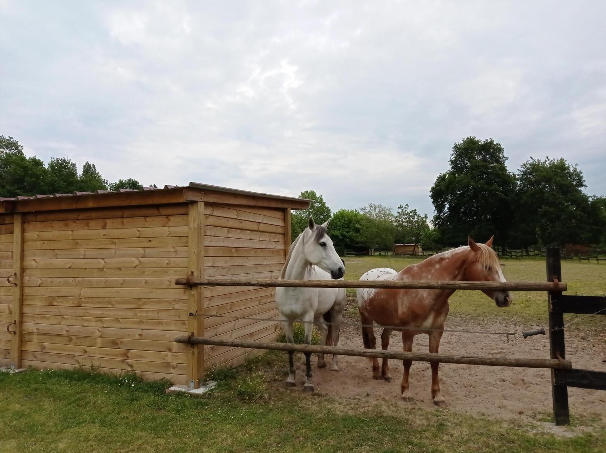 Saint-Paul-en-Born Le Ranch Amadeus Bed & Breakfast エクステリア 写真