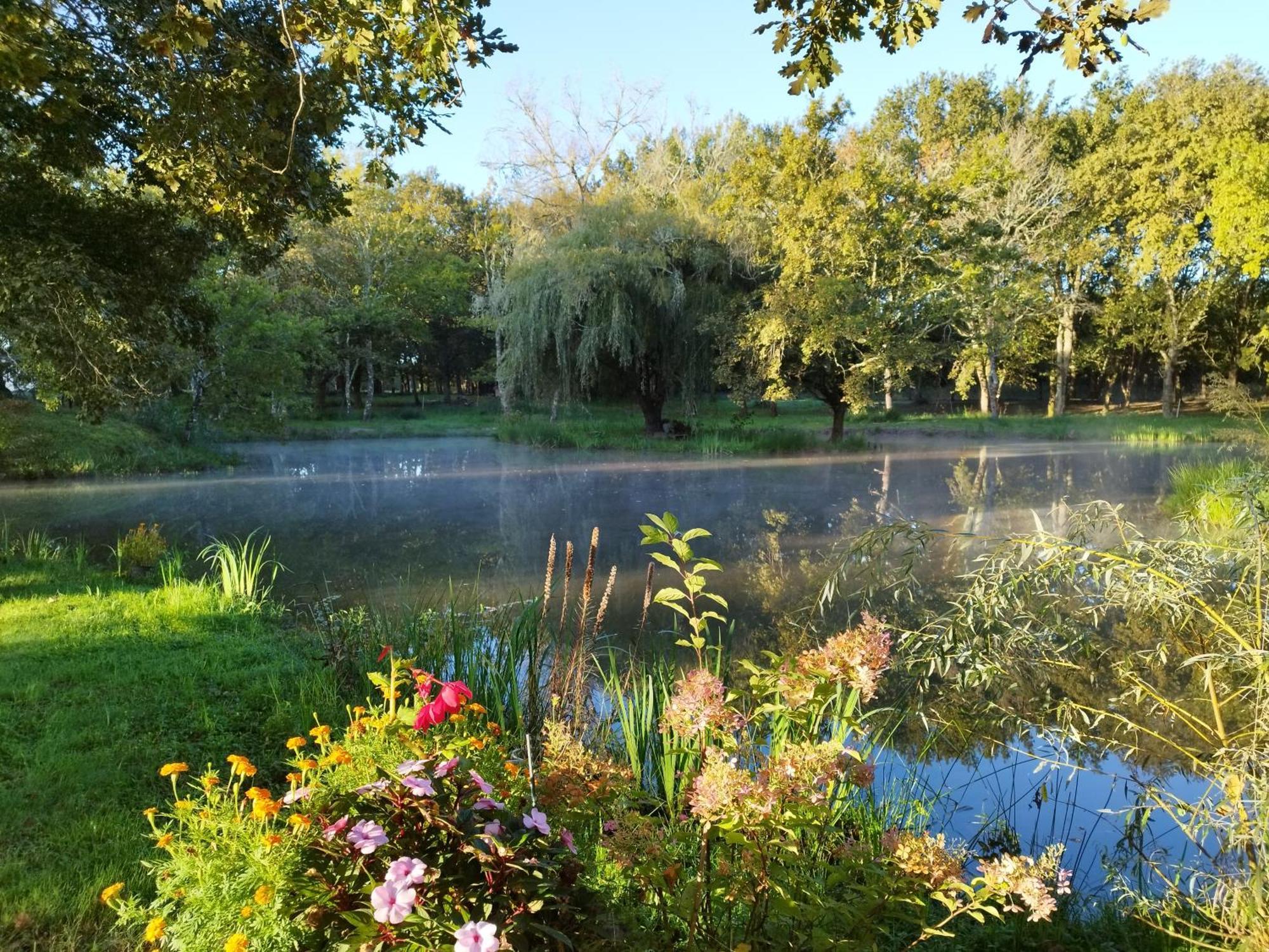 Saint-Paul-en-Born Le Ranch Amadeus Bed & Breakfast エクステリア 写真