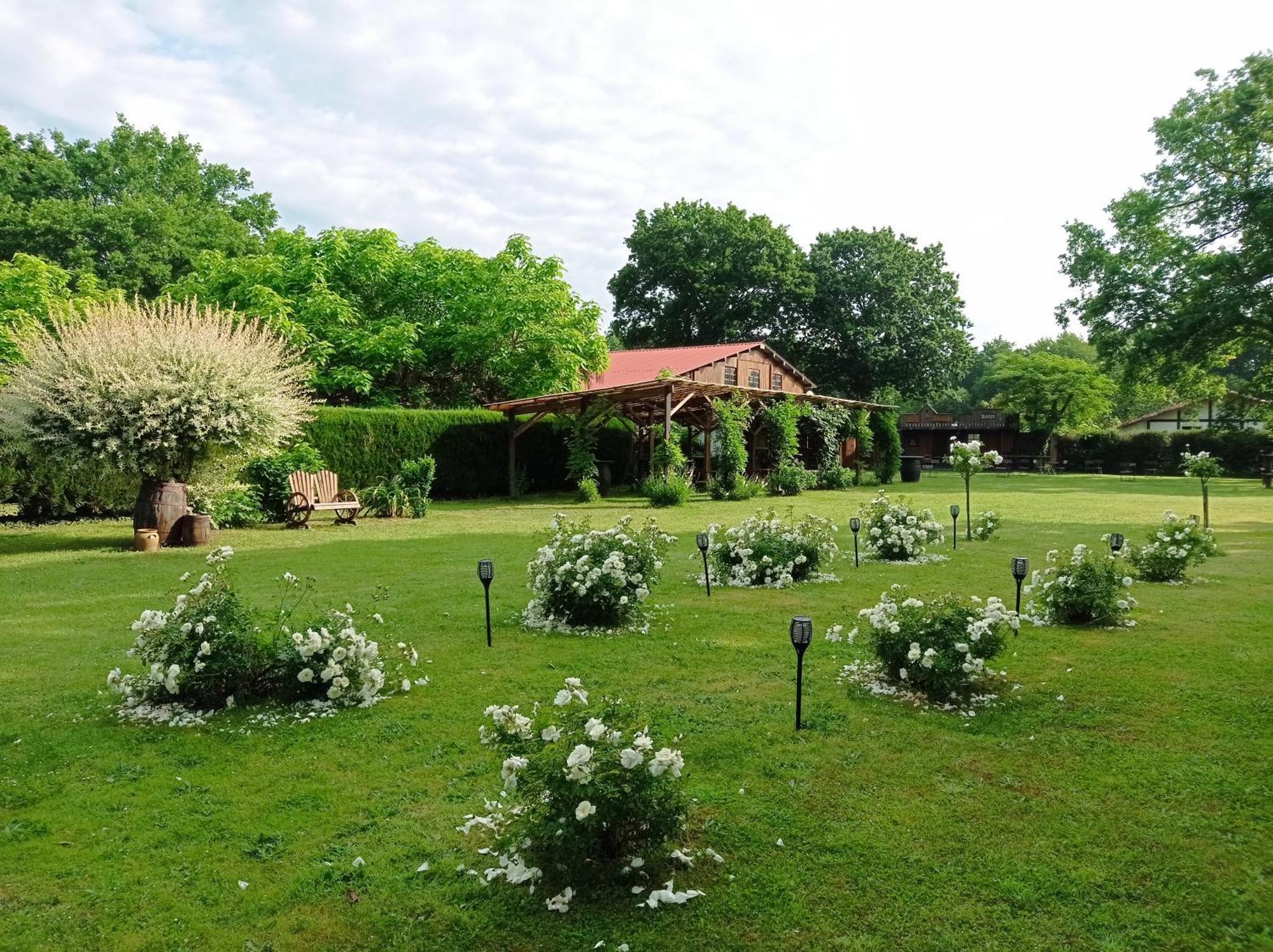Saint-Paul-en-Born Le Ranch Amadeus Bed & Breakfast エクステリア 写真