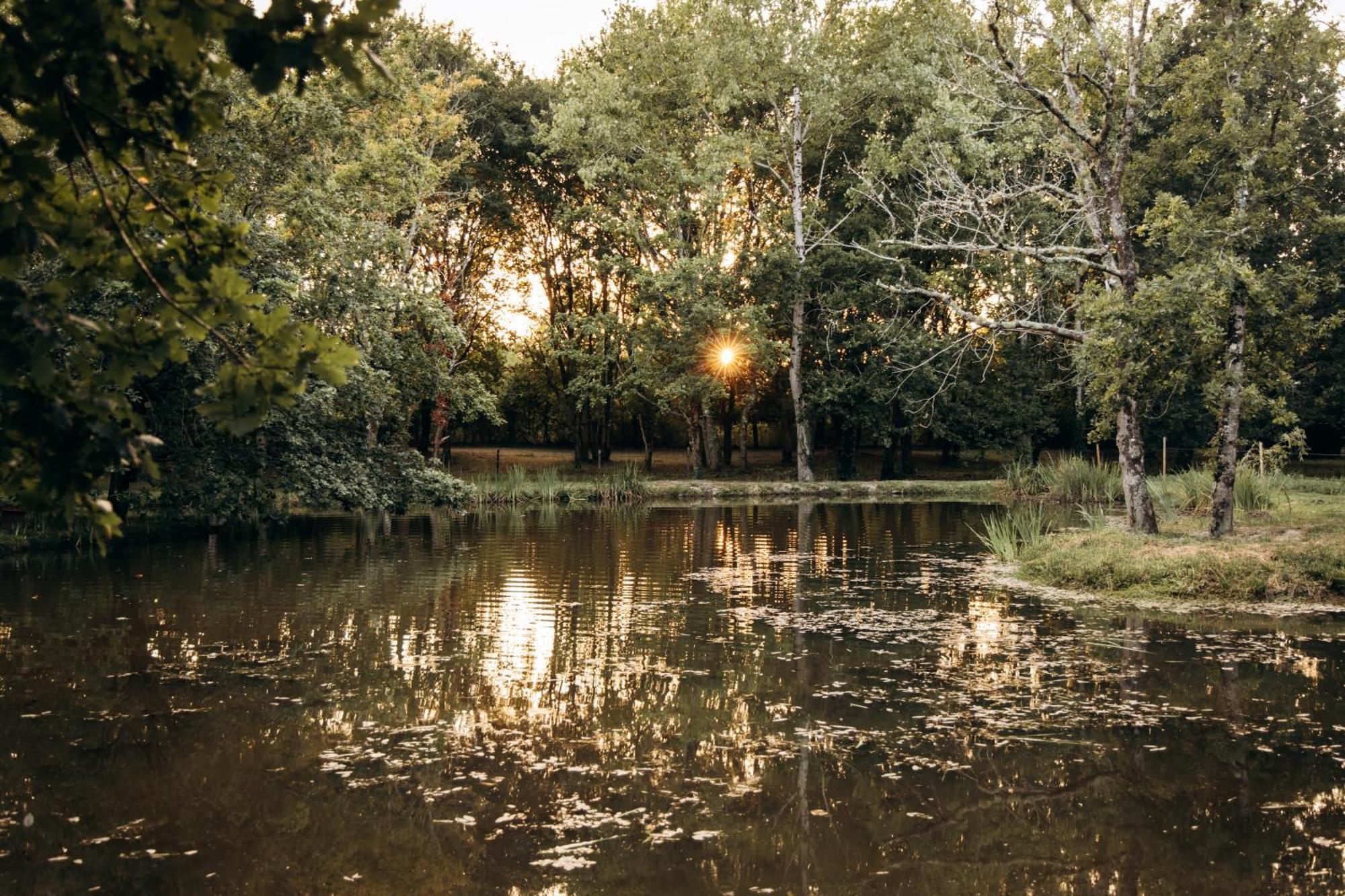 Saint-Paul-en-Born Le Ranch Amadeus Bed & Breakfast エクステリア 写真