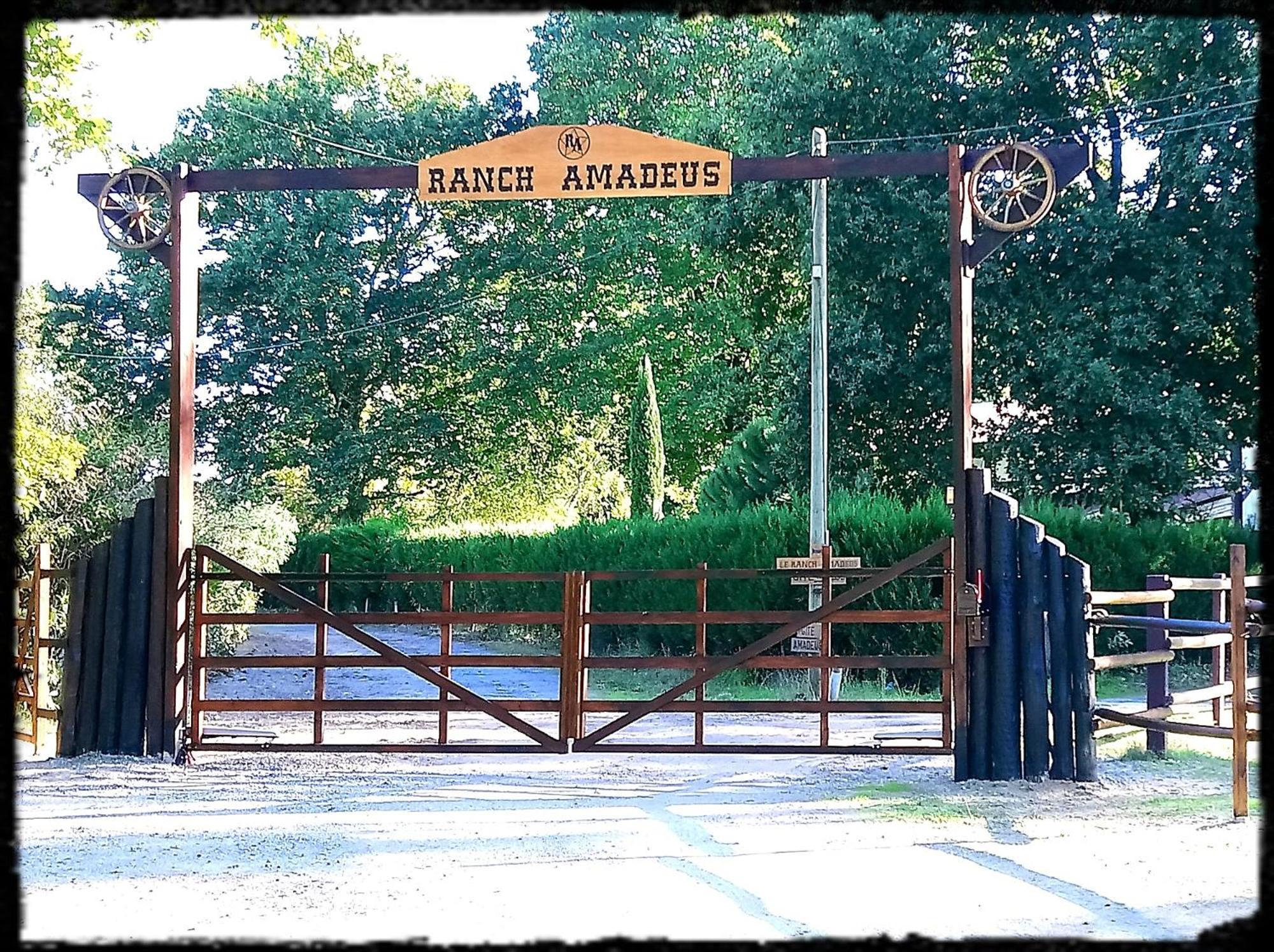 Saint-Paul-en-Born Le Ranch Amadeus Bed & Breakfast エクステリア 写真