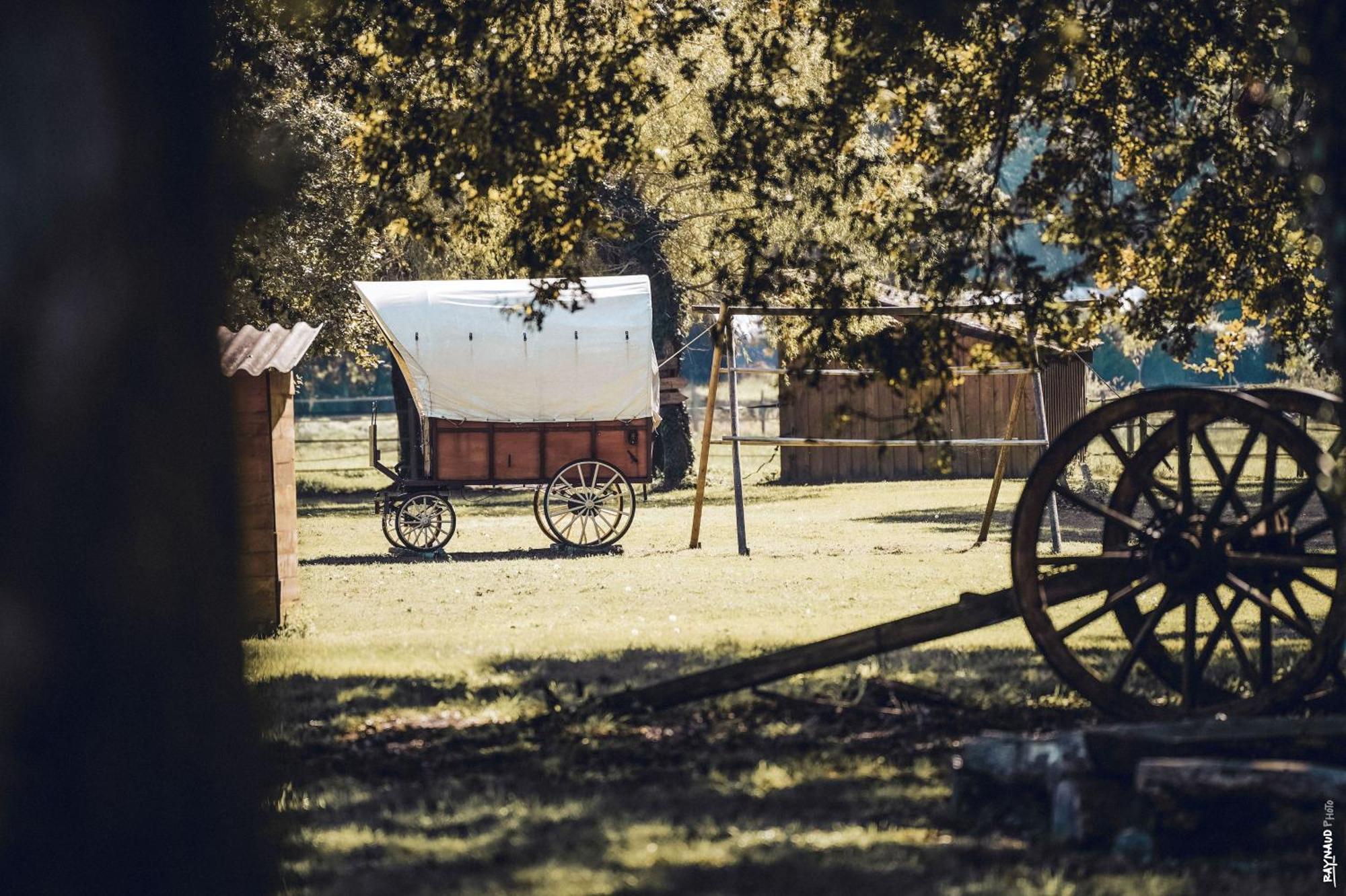 Saint-Paul-en-Born Le Ranch Amadeus Bed & Breakfast エクステリア 写真